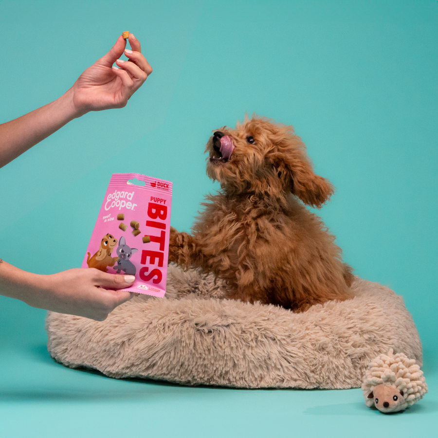 50 g Edgard & Cooper Bocaditos Mini Puppy de Pato y Pollo para perros, , large Imagen numero 3